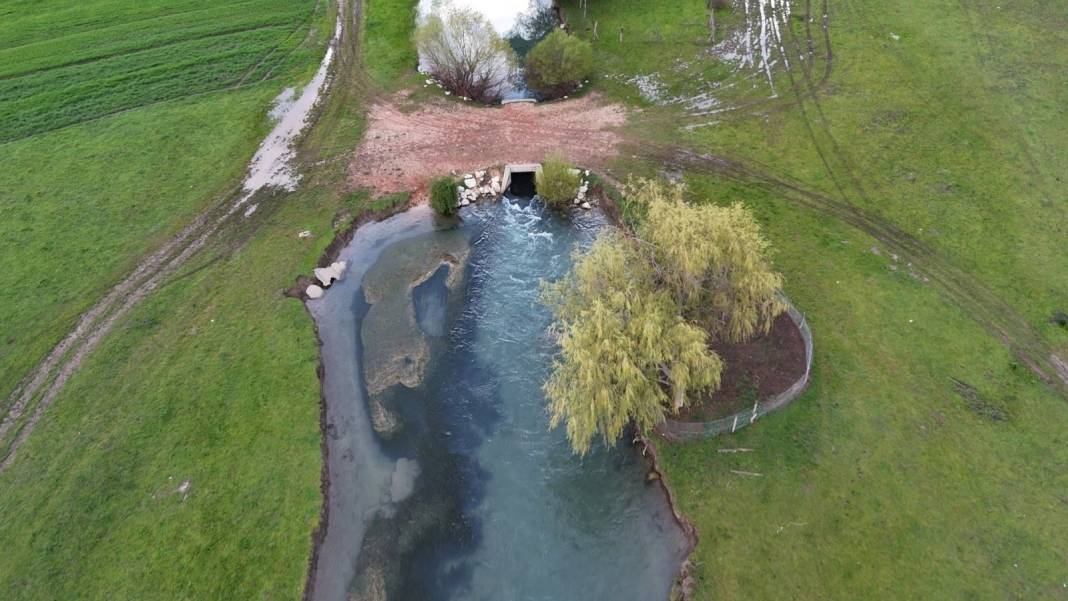 Konya'da masaldan çıkma, tablo gibi güzellik! Leylekler burada mola veriyor 5